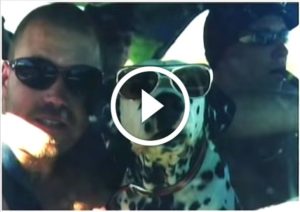 Sublime - 'What I Got' Music Video